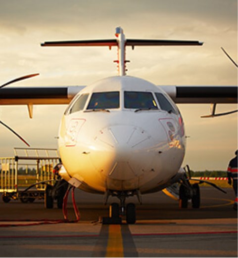 Sự khác biệt giữa Giao nhận Vận tải Quốc tế và Nội địa là gì?