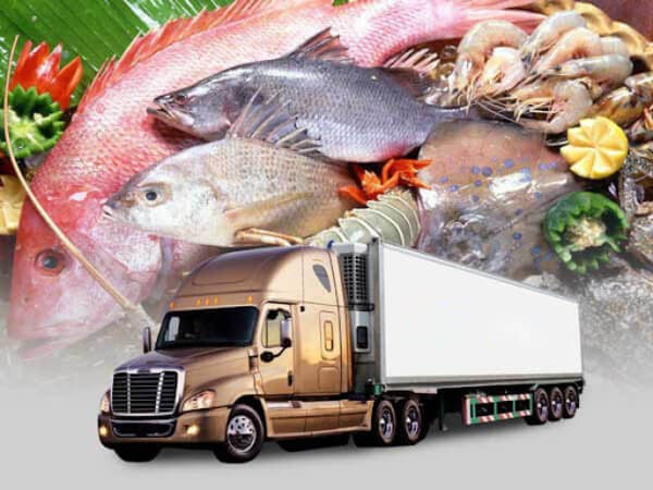 GỬI HÀNG ĐÔNG LẠNH ĐI ANH